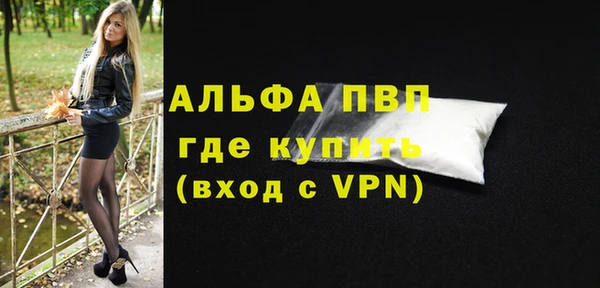 PSILOCYBIN Ветлуга