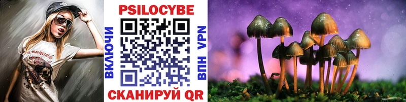 Галлюциногенные грибы Psilocybe  Костерёво 